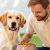 When Should Dogs Switch from Puppy to Adult Food? A Comprehensive Guide for Pet Parents