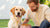 When Should Dogs Switch from Puppy to Adult Food? A Comprehensive Guide for Pet Parents
