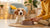 When Should I Feed My Dog Wet Food? A Comprehensive Guide for Pet Owners
