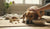 When Should I Give My Dog Adult Food? A Comprehensive Guide for Pet Parents-141420396783