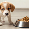 When Should I Give My Puppy Dog Food? A Comprehensive Guide to Switching from Puppy to Adult Food