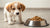When Should I Give My Puppy Dog Food? A Comprehensive Guide to Switching from Puppy to Adult Food
