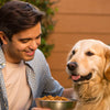 When Should I Stop Giving My Dog Puppy Food? Essential Transition Tips for Pet Parents