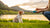 When Should I Switch My Dog to Adult Food? A Comprehensive Guide for Dog Owners-141222641903