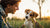 When Should I Switch Puppy to Dog Food? A Comprehensive Guide for Pet Owners