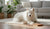 When Should I Switch to Adult Dog Food? A Comprehensive Guide for Pet Owners-141419446511