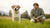When Should I Take My Dog Off Puppy Food? A Comprehensive Guide