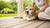 When Should You Start Feeding Senior Dog Food? A Comprehensive Guide for Pet Owners-141094420719