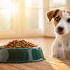 When Should You Stop Feeding Puppy Food to Your Dog?