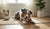 When Should You Switch to Adult Dog Food? Understanding the Best Time for Your Puppy-141420167407