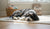 When Should You Switch Your Dog to Adult Food? A Comprehensive Guide-141419249903