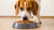 When to Change Your Dog from Puppy Food: A Comprehensive Guide