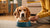 When to Feed Dog Wet Food: A Comprehensive Guide for Pet Owners