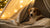 When to Feed Pregnant Dog Puppy Food: A Comprehensive Guide