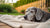 When to Feed Senior Dog Food: A Comprehensive Guide to Nutrition for Your Aging Pup