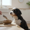 When to Feed Your Dog Adult Food: A Comprehensive Guide