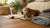 When to Feed Your Dog Senior Food: A Guide to Healthy Aging
