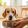When to Move Dog to Adult Food: A Comprehensive Guide for Pet Owners