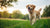 When to Start Adult Dog Food: A Detailed Guide for Pet Parents-141045530863