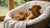 When to Start Feeding Pregnant Dog Puppy Food: A Comprehensive Guide for Pet Parents