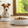 When to Switch from Puppy Food to Adult Dog Food: A Comprehensive Guide for Pet Owners