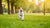 When to Switch Your Dog Off Puppy Food: A Comprehensive Guide for Pet Parents