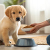 When to Switch Your Puppy to Dog Food: Timelines and Tips for Pet Parents