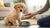 When to Switch Your Puppy to Dog Food: Timelines and Tips for Pet Parents