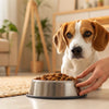 When to Transition from Puppy Food to Adult Dog Food: A Comprehensive Guide for Pet Parents