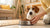 When to Transition from Puppy Food to Adult Dog Food: A Comprehensive Guide for Pet Parents
