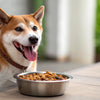 When to Transition from Puppy to Adult Dog Food: A Comprehensive Guide for Pet Owners
