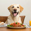 When to Transition Puppy Food to Dog Food: A Complete Guide