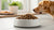 Where Can I Buy Hydrolyzed Protein Dog Food: A Comprehensive Guide-141218775279