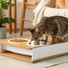 Where to Put Cat Food So Dog Doesn’t Eat It: Creative Solutions for Pet Owners