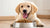 Which Dog Food is Best for Puppies: A Comprehensive Guide for New Puppy Owners