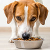 Which Dog Food is Best for Weight Gain: A Comprehensive Guide for Pet Owners