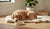 Which Dog Food is Low in Protein: A Comprehensive Guide for Pet Parents-141417218287