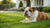 Which Dogs Need Least Exercise? A Guide to Low-Energy Breeds