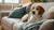 Which Dogs Require the Least Exercise: A Guide for Busy Pet Owners