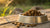 Which Dry Dog Food Do Vets Recommend? A Comprehensive Guide for Pet Owners