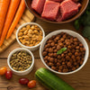 Which Food Dogs Eat: A Comprehensive Guide to Nourishing Your Furry Friend