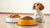 Which Food is Better for Dogs: Wet or Dry?