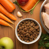 Which Foods Are Safe for Dogs to Eat? A Complete Guide for Pet Lovers