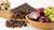 Which Foods Dogs Can't Eat: A Comprehensive Guide for Pet Owners