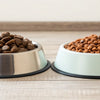 Which is Better: Grain-Free or Regular Dog Food?
