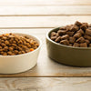 Which is Better: Grain or Grain-Free Dog Food