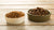 Which is Better: Grain or Grain-Free Dog Food