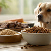Why Are Grain Free Foods Bad for Dogs? Understanding the Risks and Benefits