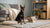 Why Are Onions Toxic to Dogs? Understanding the Risks and Implications