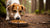 Why Can Dogs Eat Rotten Food and Not Get Sick?-140406161647